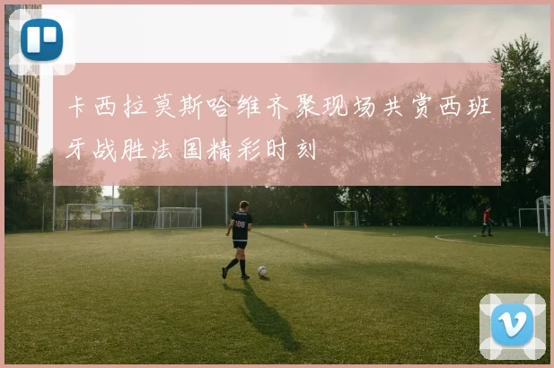 卡西拉莫斯哈维齐聚现场共赏西班牙战胜法国精彩时刻